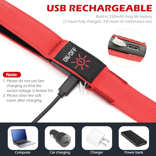 LED Dog Leash Light Up 4 Feet Micro USB Rechargeable Nylon Webbing Glow Safety Standard by Bpawser (Red) - color: Red, size: 4 Feet
