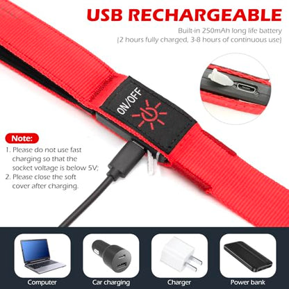 LED Dog Leash Light Up 4 Feet Micro USB Rechargeable Nylon Webbing Glow Safety Standard by Bpawser (Red) - color: Red, size: 4 Feet