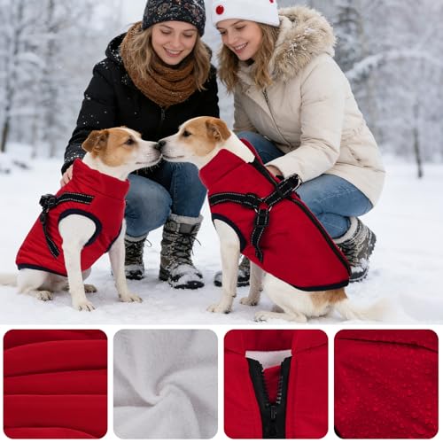 Dog Winter Coat with Harness Winter Jacket for Small Dogs Reflective Cold Weather Coats Warm Pet Vest Waterproof Snowsuit (Red, Small) - color: Red, size: Small