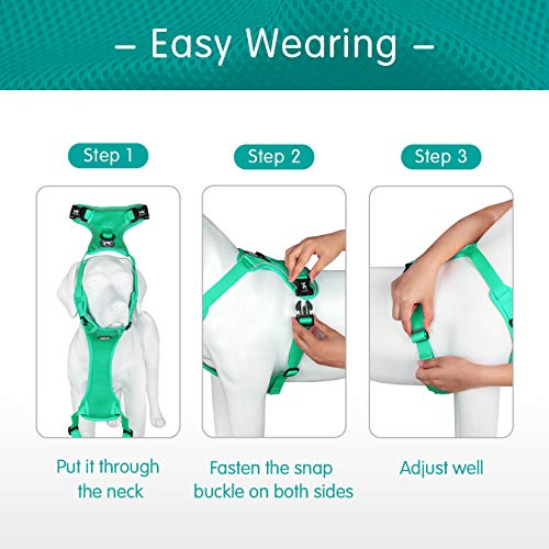 PoyPet Reflective Soft Breathable Mesh Dog Harness Choke-Free Double Padded Vest with Adjustable Neck and Chest(Mint Green,XS) - color: Mint Green, size: XS