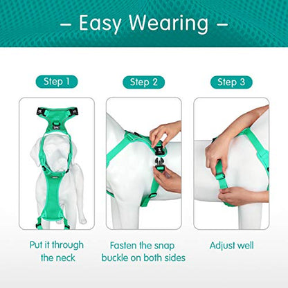 PoyPet Reflective Soft Breathable Mesh Dog Harness Choke-Free Double Padded Vest with Adjustable Neck and Chest(Mint Green,XS) - color: Mint Green, size: XS