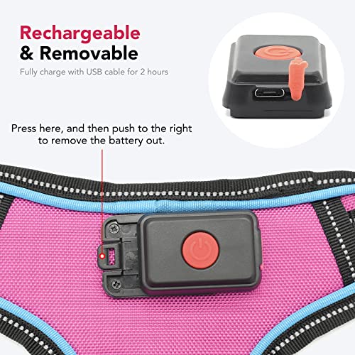 Safety LED Dog Harness - Light Up Dog Vest, No-Pull Dog Harness - Rechargeable Glowing Pet Harness for Night Walking & Camping (Pink+Blue Light, Medium) - color: Pink+Blue Light, size: Medium