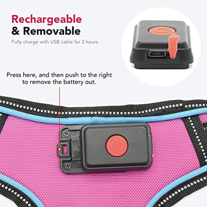 Safety LED Dog Harness - Light Up Dog Vest, No-Pull Dog Harness - Rechargeable Glowing Pet Harness for Night Walking & Camping (Pink+Blue Light, Medium) - color: Pink+Blue Light, size: Medium