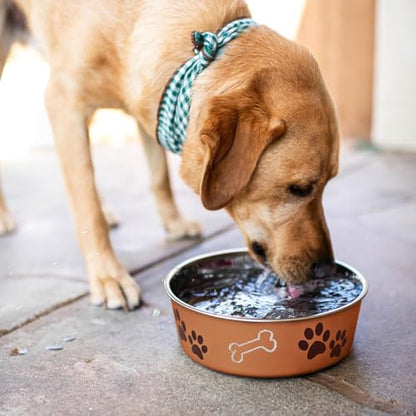 Loving Pets Bella Dog Bowls- Stainless Steel Dog & Cat Bowls - Spill Proof Dog Food Bowl, Cat Bowl, Puppy Essentials & Pet Supplies Great for Home & Travel (Small 10-20 lbs, Copper) - color: Copper, size: Small (10-20lbs)