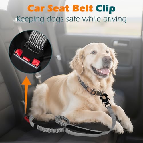 Heavy Duty Tactical Dog Leash, 5 FT Bungee Shock Absorption Leash with 2 Padded Handles, Quick Release Metal Clip, Car Seatbelt, No Pull Training Lead for Large Medium Dogs（Grey） - color: Grey