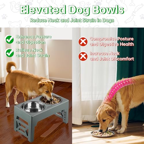 EliteField Elevated Dog Bowls (2-Year Warranty), Two 58 oz Stainless Steel Food Bowls, 5 Adjustable Raised Heights (4", 9.5", 10.5", 11.5", 12.75") Suitable for Dogs of All Ages, Small to Large Sizes - color: Gray, size: 2 Stainless Steel Bowls