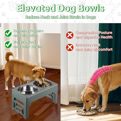 EliteField Elevated Dog Bowls (2-Year Warranty), Two 58 oz Stainless Steel Food Bowls, 5 Adjustable Raised Heights (4", 9.5", 10.5", 11.5", 12.75") Suitable for Dogs of All Ages, Small to Large Sizes - color: Gray, size: 2 Stainless Steel Bowls