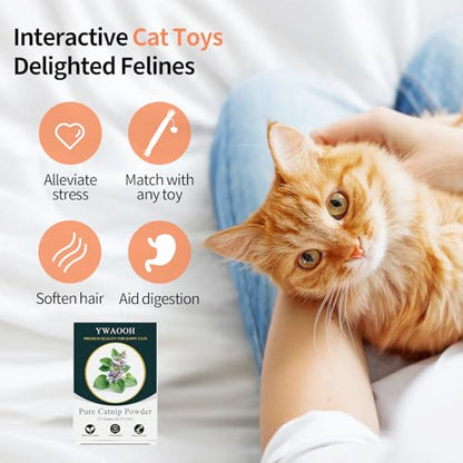Premium Catnip for Cats & Kittens – Cold-Processed, High Potency Nepetalactone, 100% Pure Organic Leaf-Only Catnip for Toys, Scratchers, Refills, Stimulates Play & Protects Furniture - 15g - size: 15g
