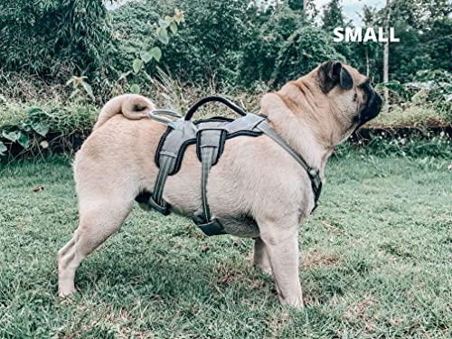 Tuff Pupper Escape Proof No Escape Dog Harness | 5 Point Adjustable Fit Harness for Dogs | Padded Dog Harnesses | Handle Dog Lift Harnesses - color: Steel Grey, size: Small