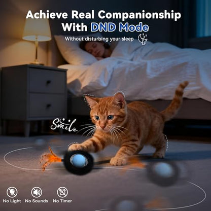 Interactive Cat Toy with Motion Activated Ball & 7-Hole Play Mat, Hide and Seek Exercise Game for Indoor Cats, Automatic Moving Cat Ball in Pouch, Rechargeable Kitten Toys (Starry Night) - color: Starry Night