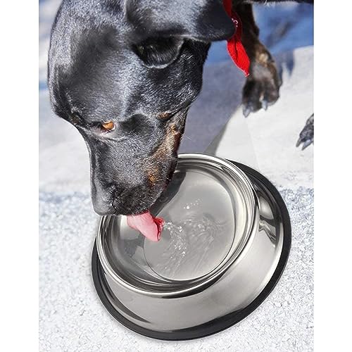 Juvale Stainless Steel Dog Bowls Set - Nonslip Dog Water Bowl Base - Dual Food & Water Pet Dishes - Dishwasher Safe Cat Dish - Pack of 2, 10 in Diameter