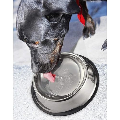 Juvale Stainless Steel Dog Bowls Set - Nonslip Dog Water Bowl Base - Dual Food & Water Pet Dishes - Dishwasher Safe Cat Dish - Pack of 2, 10 in Diameter