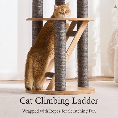 797Audio Wood Modern Cat Tree, 61.5" Tall Cat Tower with Sisal Scratching Posts, Cat Condo, Capsule and Ladder, Solid Wooden Aesthetic Multi-Level Cat Climbing Tree for Large Adult Indoor Cats-Gray - color: 62 Inch-Gray