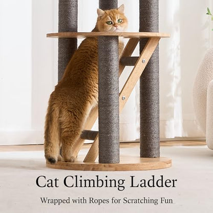 797Audio Wood Modern Cat Tree, 61.5" Tall Cat Tower with Sisal Scratching Posts, Cat Condo, Capsule and Ladder, Solid Wooden Aesthetic Multi-Level Cat Climbing Tree for Large Adult Indoor Cats-Gray - color: 62 Inch-Gray