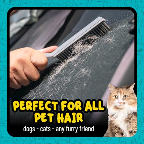 Chemical Guys Professional Rubber Pet Hair Removal Brush – Multi Surface Detailing & Pet Hair Removal Tool for Cars, Trucks, SUVs, RVs & Home – Removes Lint and Debris from Upholstery and Carpet - size: (Pack of 1)