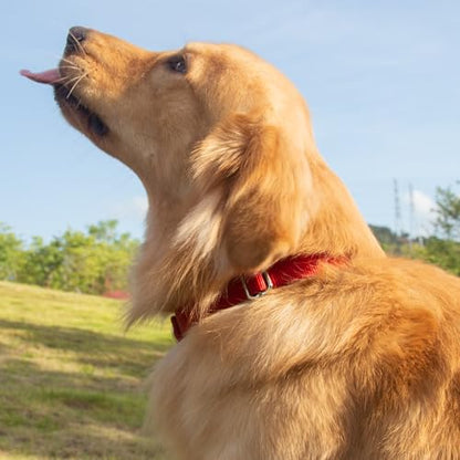 Small Dog Collar Quick-Release Red| Heavy-Duty Nylon Puppy Collar, Adjustable & Durable Pet Supplies for Boy & Girl Dogs (Small, Red) - color: Red, size: Small