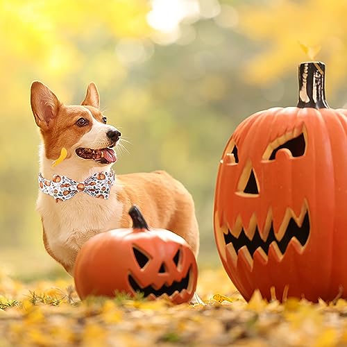 Pumpkin Dog Collar with Bow Tie - Fall Halloween Thansgiving Designer Dog Collars, Adjustable Cotton Metal Buckle Bowtie Collar for Small Medium Large Boy Girl Dogs XS - color: B-White Pumpkin, size: XS