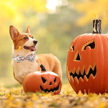 Pumpkin Dog Collar with Bow Tie - Fall Halloween Thansgiving Designer Dog Collars, Adjustable Cotton Metal Buckle Bowtie Collar for Small Medium Large Boy Girl Dogs XS - color: B-White Pumpkin, size: XS