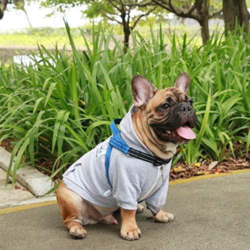 iChoue French Bulldog Harness and Leash Set Adjustable Padded Locked Buckle with Handle for Frenchie Pug English Boston Terrier Dogs, Blue, Small - color: A Harness with Leash Blue, size: Small ( 5 - 25 lbs )