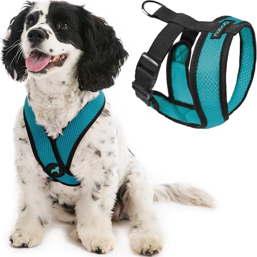 Gooby Comfort X Head in Harness - Turquoise, Small - No Pull Dog Harness with Patented Choke-Free X Frame for Small to Medium Dogs Indoor/Outdoor Use - color: Turquoise, size: Small Chest (11.75-15.5")