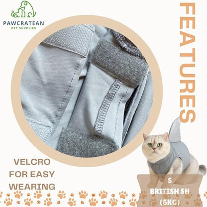 Pet Custom Dog Custom Cat Custom Hoodie, Sporty Look, Funny Gift, Halloween Holiday (Shark with Standing Fin, Large) - color: Shark with Standing Fin, size: Large