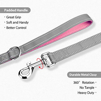 PHOEPET 5 Feet Dog Leash - Dual-Side Reflective - Soft Padded Handle - Fit for Walking, Training or Exploring Hiking, Camping (Grey + Baby Pink Base) - color: Grey + Baby Pink Base