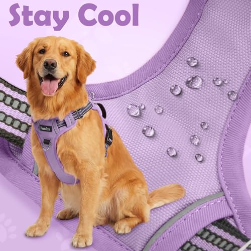 Funfox Dog Harness No Pull, Adjustable Pet Vest Harness, Super Soft Material with Vertical Handle Easy Control, Reflective Night Walking, 2 Leash Clips for Small Sized Dogs, Purple, S - color: Purple, size: Small