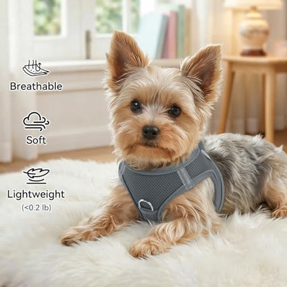 Joytale Small Dog Harness, Breathable Mesh Step-in Vest, Reflective Soft Padded Harnesses for Cats, Puppies and Extra Small Dogs, Gray, XXS - color: Gray, size: XXS--Chest: 12-13.5''