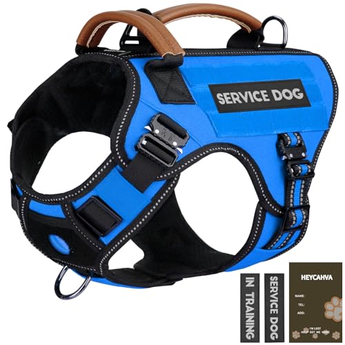 Service Dog Vest - HEYCAHVA Tactical Dog Harness Full Metal Buckles Dog Vest for Large Medium Dog Reflective No Pull Dog Harnesses with Leather Handle, Hook & Loop for Hiking Training (Blue, M) - color: Blue, size: Medium