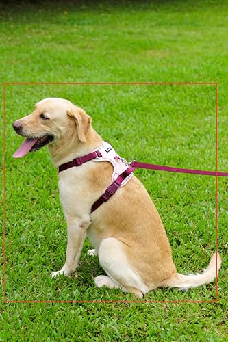 Pink Dog Harness Leash Collar Set, No Pull Reflective Dog Vest Harness with Control Handle, Adjustable Breathable Pet Harness for Small Medium Dogs Walking Training - color: Pink, size: S
