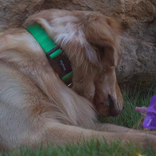 Small Dog Collar Quick-Release Green| Heavy-Duty Nylon Puppy Collar, Adjustable & Durable Pet Supplies for Boy & Girl Dogs (Small, Lime Green) - color: Lime Green, size: Small