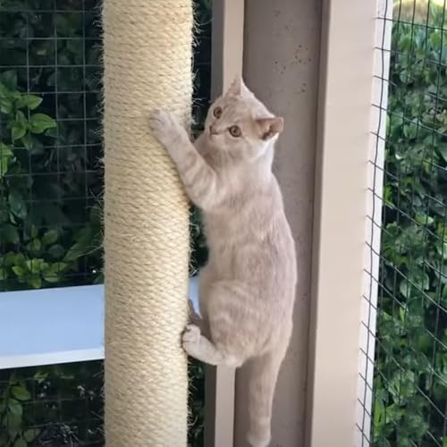 164 Feet Sisal Rope for Cat Tree & Scratching Post Replacement, 1/4 Inch Scratcher Rope to Refresh Cat Furniture, Durable Cat Scratching Rope - color: 1/4 inch (6mm) Light Color