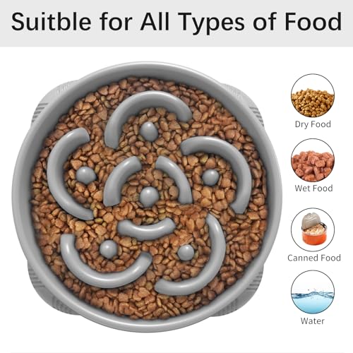 MateeyLife Large Slow Feeder Dog Bowls 2PCS, Anti-Choking Puzzle Dog Food Bowls, Anti-Slip Interactive Feeding Slow Down Eating, Bloat Stop Maze Dishes for Large Breeds 4 Cups Gray&Black - color: B-Gray&Black, size: Large