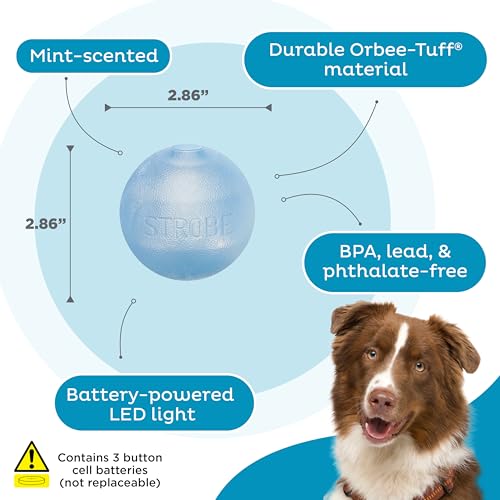 Outward Hound by Planet Dog Strobe Light Up LED Ball Dog Toy, Blue - color: Blue Strobe Toy