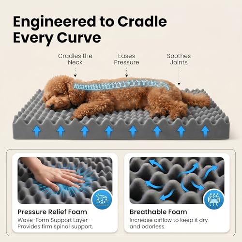 Orthopedic Small Dog Bed for Small Dogs 20 x 16Inch, L Shaped Memory Foam Puppy Pet Bed with Sides, Washable Dog Couch Sofa with Removable Velvet Cover & Non-Slip Bottom, Gray - size: 19.7" L x 15.8" W x 4.4" H--With sides