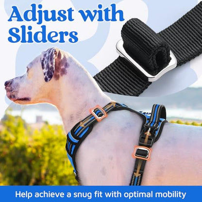 rabbitgoo Dog Harness Small Sized, No Pull Dog Vest with 3 Buckles, Adjustable Soft Padded Pet Harness with Easy Control Handle and Reflective Strips, Blue, S - color: Blue, size: Small