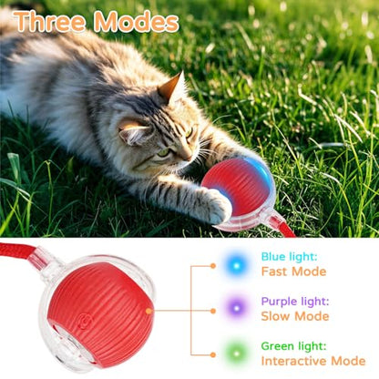Goosheep 2025 New 2Pack Cat Ball Kitten Toys for Indoor Interactive Kitty Ball Toy Speedy Tail 360° Automatic Rolling for Dog, Cat(Red Grey) - size: 2 Pack