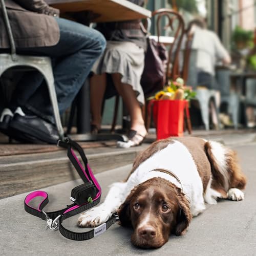 Heavy Duty Dog Leash for Large Dogs – 6FT Reflective Bungee with Padded Handles, Strong Carabiner Clip, No Pull Control for Medium & Large Breeds, Includes Poop Bag Holder & Treat Pouch (Purple-Blue) - color: Purple - Blue