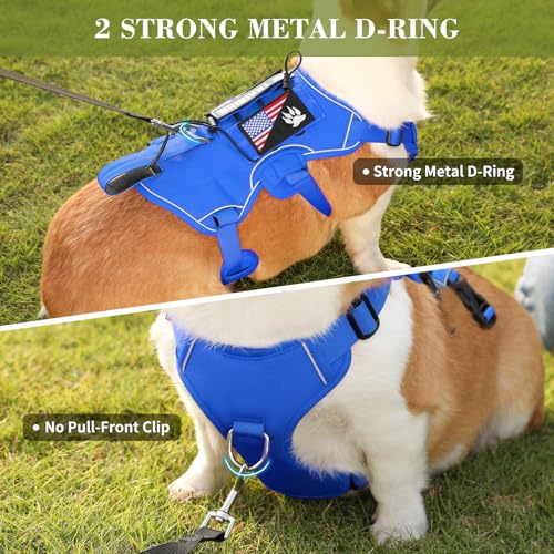 Escape Proof Dog Harness, Soft Padded Full Body Pet Harness, Reflective No Pull Dog Harness with Handle and 2 Leash Clips for Small Dogs Walking Hiking Training (Blue,S)