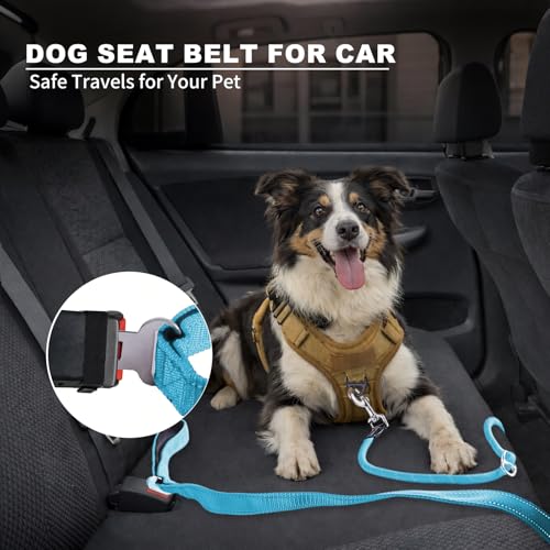 6FT Heavy Duty Dog Leash for Small Medium Large Dogs, Tangle Free Reflective Dog Training Leash with Double Handle, Seat Belt Buckle & Poop Bag Holder (Blue) - color: Blue, size: 6FT