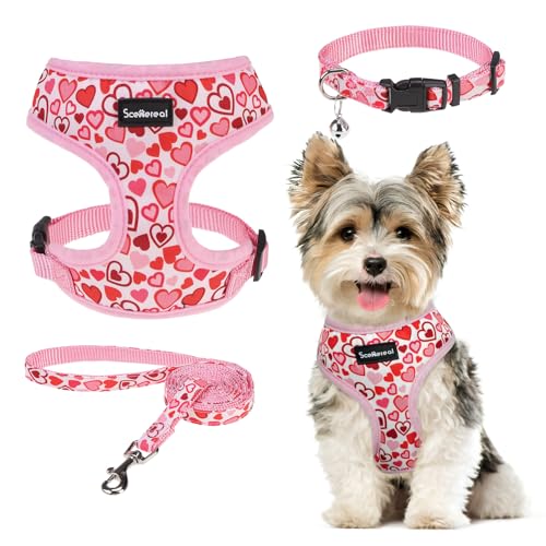 SCENEREAL Valentines Dog Harness Collar and Leash Set for Small Dogs, Soft Mesh Harnesses，Pet Vest for Outdoor Walking Training and Running, XS - color: Pink - Heart, size: XS: Chest Girth: 10"-14"