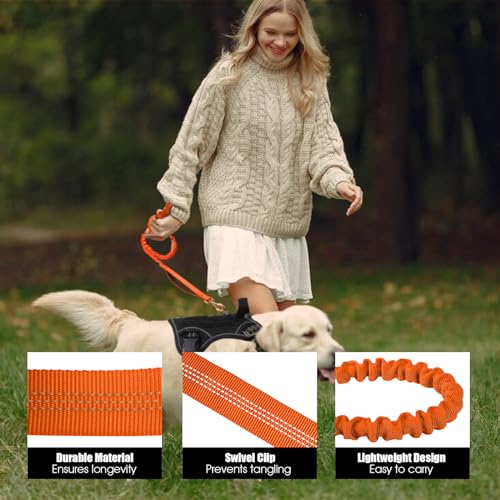 BUMBIN 6Ft Dog Leash - Large Dogs, Bungee Leash with 2 Handles, Heavy Duty, No Pull Shock Absorbing, Orange - color: Orange