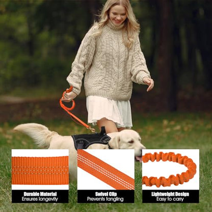 BUMBIN 6Ft Dog Leash - Large Dogs, Bungee Leash with 2 Handles, Heavy Duty, No Pull Shock Absorbing, Orange - color: Orange