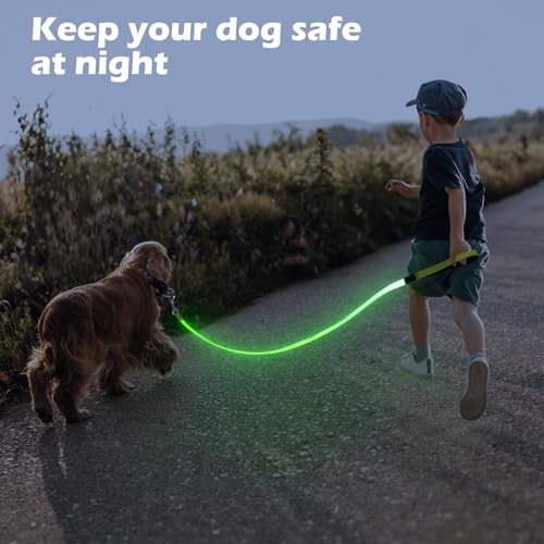 LED Dog Leash Light Up 4 Feet Micro USB Rechargeable Nylon Webbing Glow Safety Standard by Bpawser (Green) - color: Green, size: 4 Feet