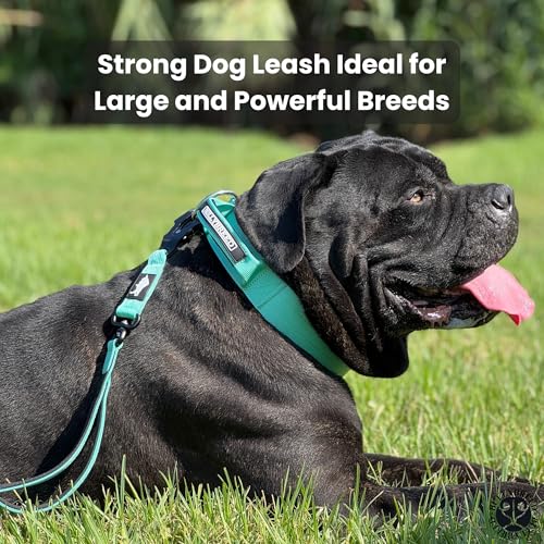 BULLYBREED | Heavy Duty Dog Leash, Tactical Dog Leash, Quick Release Frog Clip with Anti-Tangling Swivel System for Large Dogs that Pull with Soft Double Handles (5 FT Long, Aquamarine) - color: Mint Green Double Handle