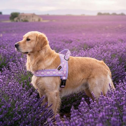 Didog No Pull Dog Harness with Soft Padded, Easy Walk Dog Harness with Quick Release Buckle, Adjustable & Reflective Pet Harness with Soft Padded for Medium Large Dogs (L:Chest 26-33", Purple) - color: Purple, size: L:Chest 26-33", Fit 40-65 lbs
