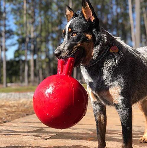 Jolly Pets Tug-n-Toss Heavy Duty Dog Toy Ball with Handle, 8 Inches/Large, Red (408 RD) - color: Red, size: Large (8 in)