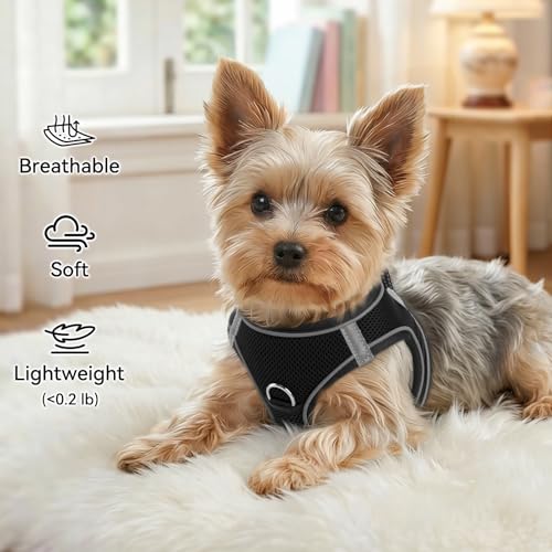 Joytale Small Dog Harness, Breathable Mesh Step-in Vest, Reflective Soft Padded Harnesses for Cats, Puppies and Extra Small Dogs, Black, XXS - color: Black, size: XXS--Chest: 12-13.5''