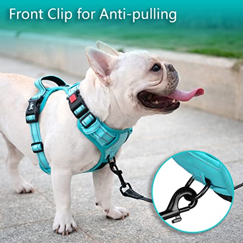 PoyPet No Pull Dog Harness, No Choke Reflective Dog Vest, Adjustable Pet Harnesses with Easy Control Padded Handle for Small Medium Large Dogs(Mint Blue Matching Trim,XS) - color: Mint Blue(Matching Trim), size: XS