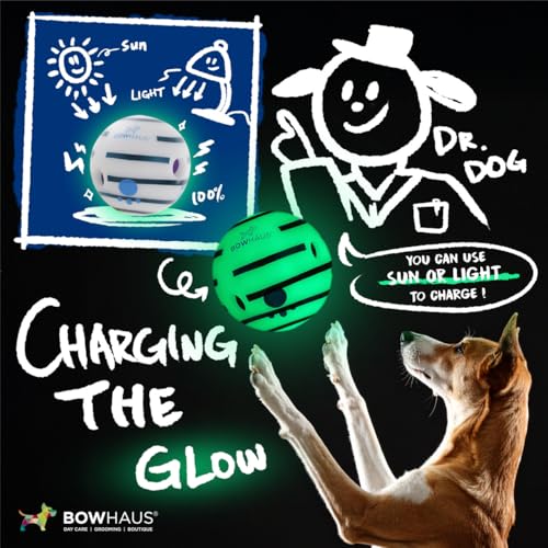 BOWHAUS Giggle Glow in The Dark Ball for Dogs, 5.5 Inch Interactive Dog Exercise Toys, Indestructible Fun Squeaky Chew Toy, Non-Toxic Durable PVC Chew Ball for Indoor Outdoor Play - style: Glowing Ball